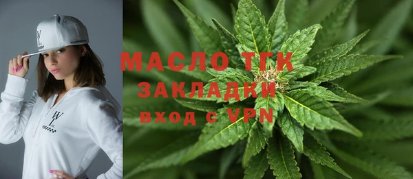 шишки Инсар