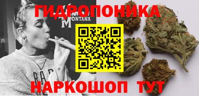 спайс Кинель