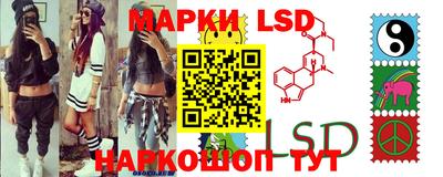 spice Кингисепп