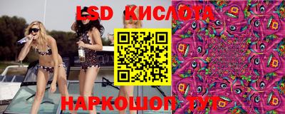 spice Кингисепп