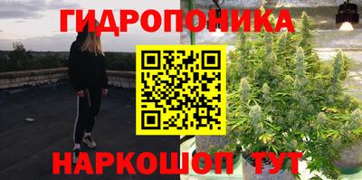 spice Кингисепп