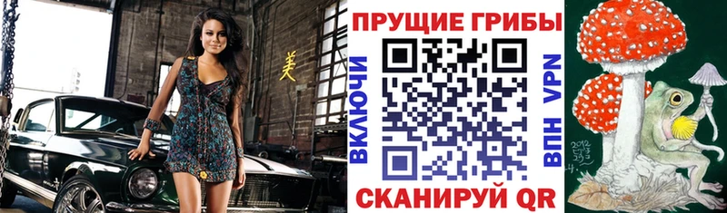 Галлюциногенные грибы Magic Shrooms  нарко площадка телеграм  Ялта  где продают  