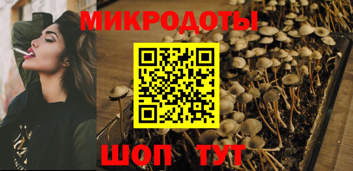 Псилоцибиновые грибы Magic Shrooms Ялта