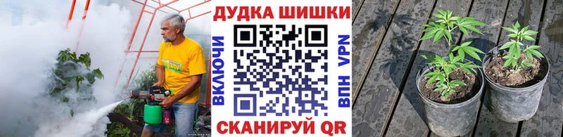 Бошки марихуана план  Ялта 